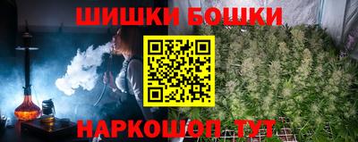 стаф Ставрополь
